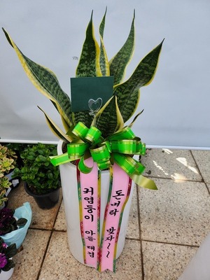김태* 님 앞으로 배송된 상품입니다.